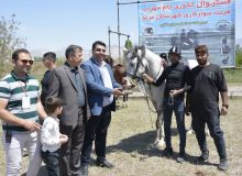 مسابقات کشوری اسب سواری در شهرستان مرند