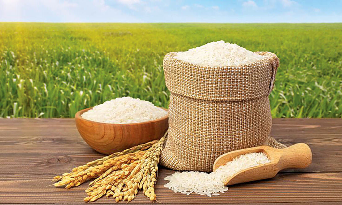 دومینوی رانت با برنج یارانه ای