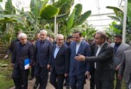 بازدید وزیر امور اقتصادی و دارایی از پروژه گلخانه‌ای گوزل طبیعت ارس