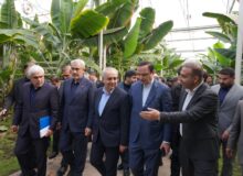 بازدید وزیر امور اقتصادی و دارایی از پروژه گلخانه‌ای گوزل طبیعت ارس