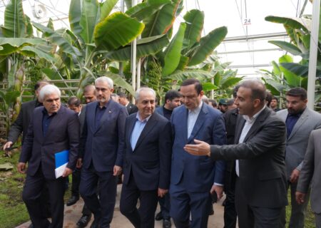 بازدید وزیر امور اقتصادی و دارایی از پروژه گلخانه‌ای گوزل طبیعت ارس