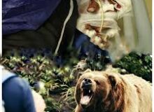 حمله خرس به چوپان در هوراند