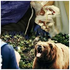 حمله خرس به چوپان در هوراند