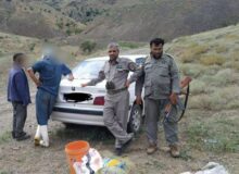 دستگیری دو صیاد غیرمجاز پرندگان در جنگل های هوراند