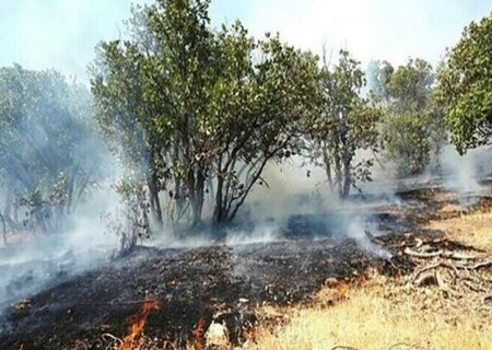 آتش سوزی در حریم پارک ملی دریاچه ارومیه مهار شد