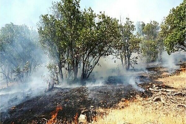 آتش سوزی در حریم پارک ملی دریاچه ارومیه مهار شد