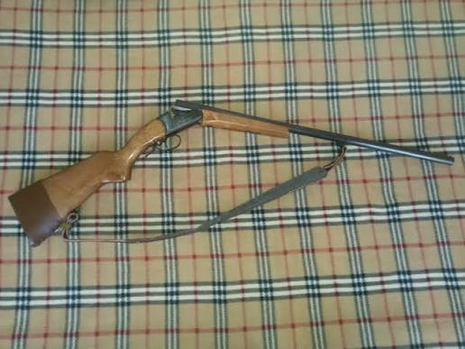 عاملان تیر اندازی در رضوانشهر دستگیر شدند