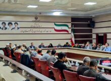 پیام جهانی اربعین حسینی همسان با مناسک حج است
